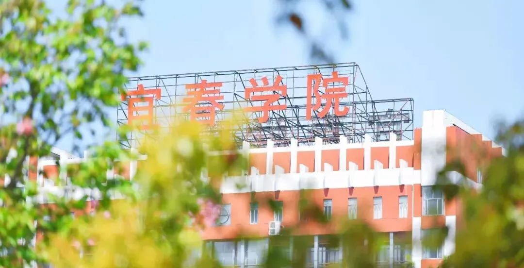篮球训练后的总结与反思作文_2